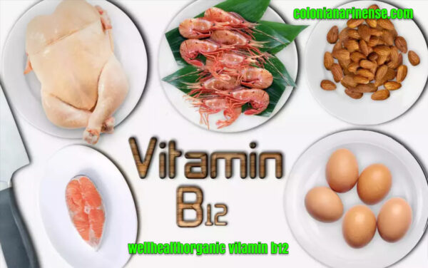 wellhealthorganic vitamin b12