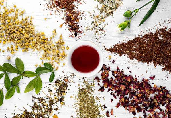 Wellhealthorganic.com: 5 Herbal Teas You Can Consume to Get Relief from Bloating and Gas