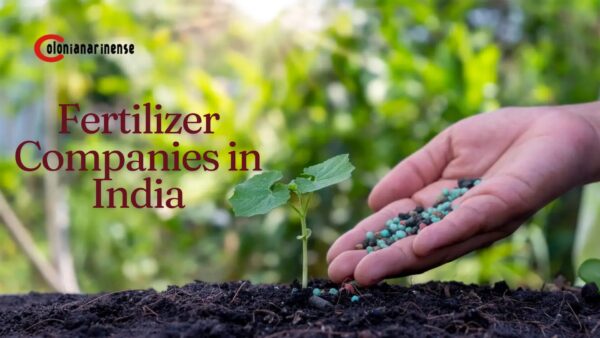 Fertilizer Companies in India