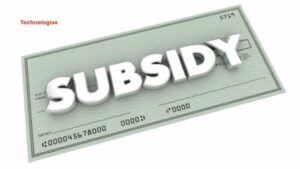 Subsidy