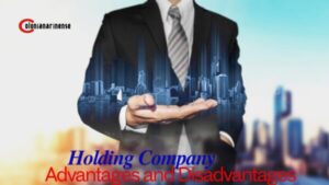 Holding Company Advantages and Disadvantages